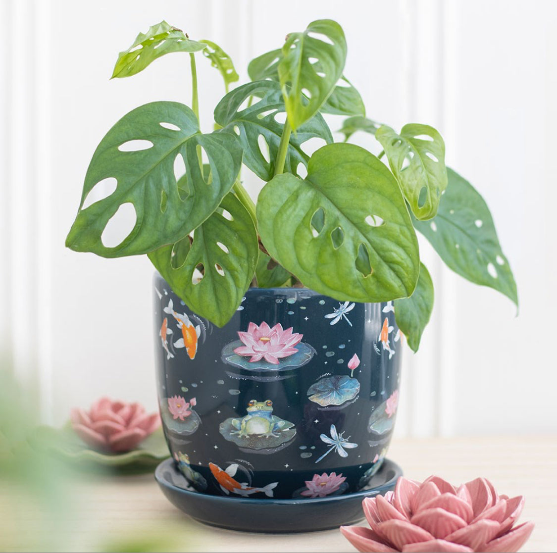 New Pond Print Plant Pot & Saucer featuring Dragonfly, Koi Fish, Water Lily & Frogs