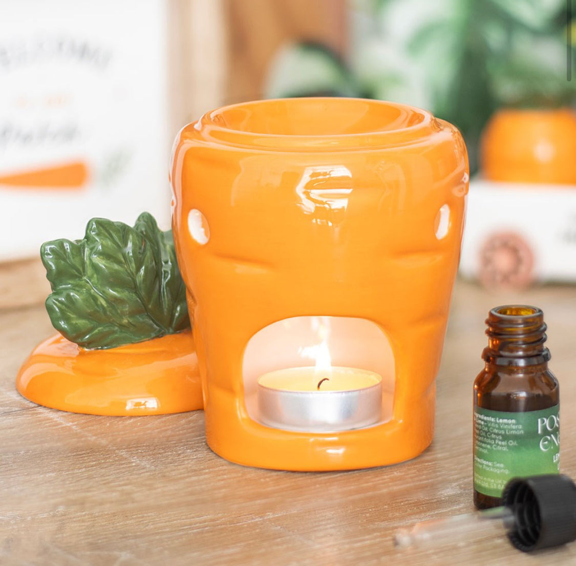 Carrot Oil Burner Wax Melt Warmer Autumn Home Ornament Decor Veggie Gifts