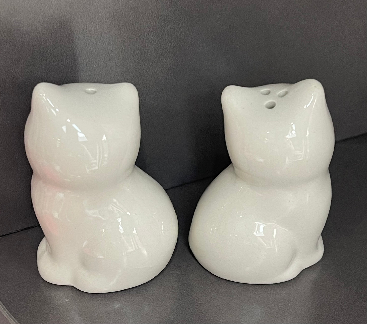 Cat Salt & Pepper Shakers – Cute Ceramic Pots Cat Set for Cat Lovers