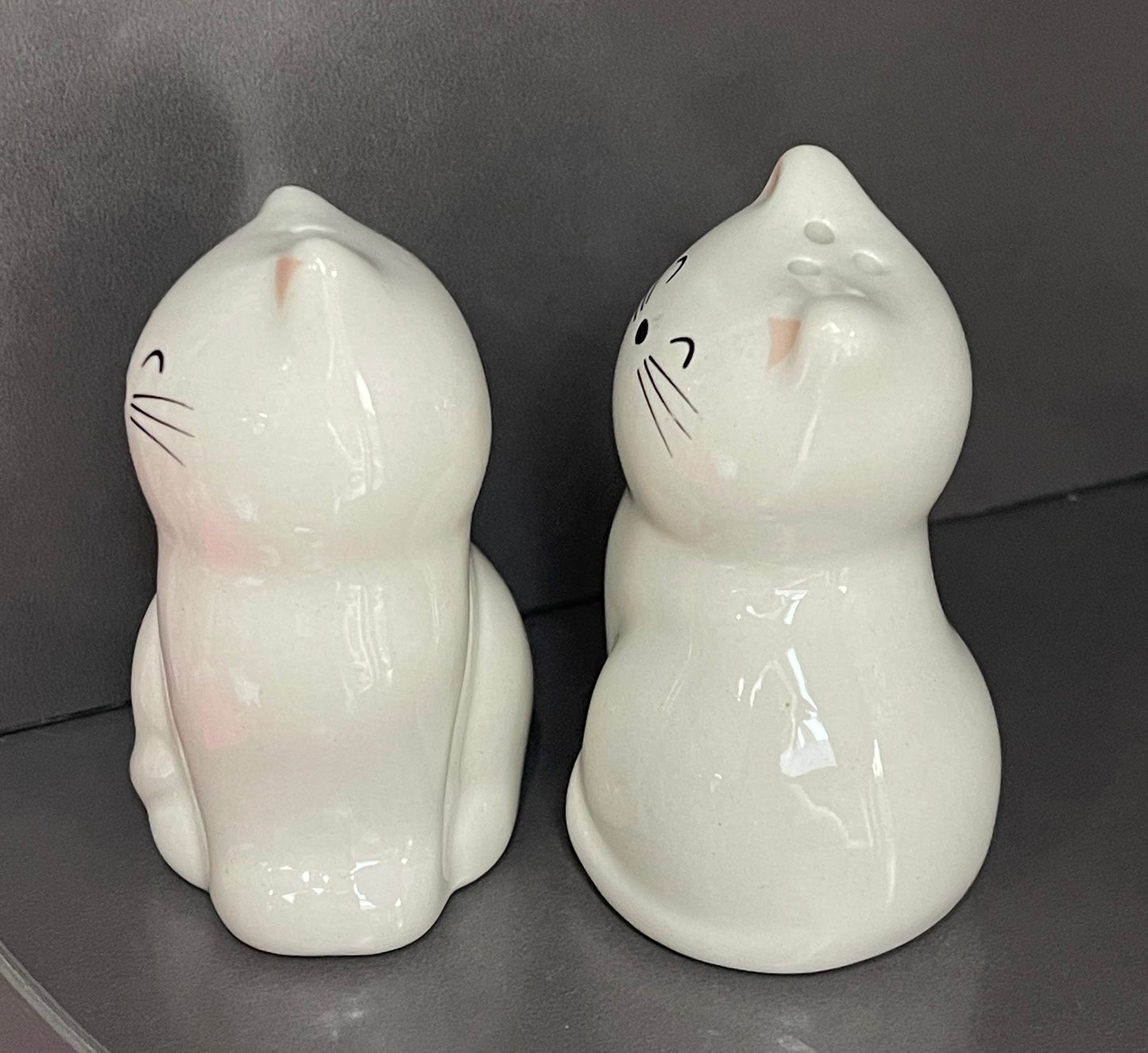 Cat Salt & Pepper Shakers – Cute Ceramic Pots Cat Set for Cat Lovers