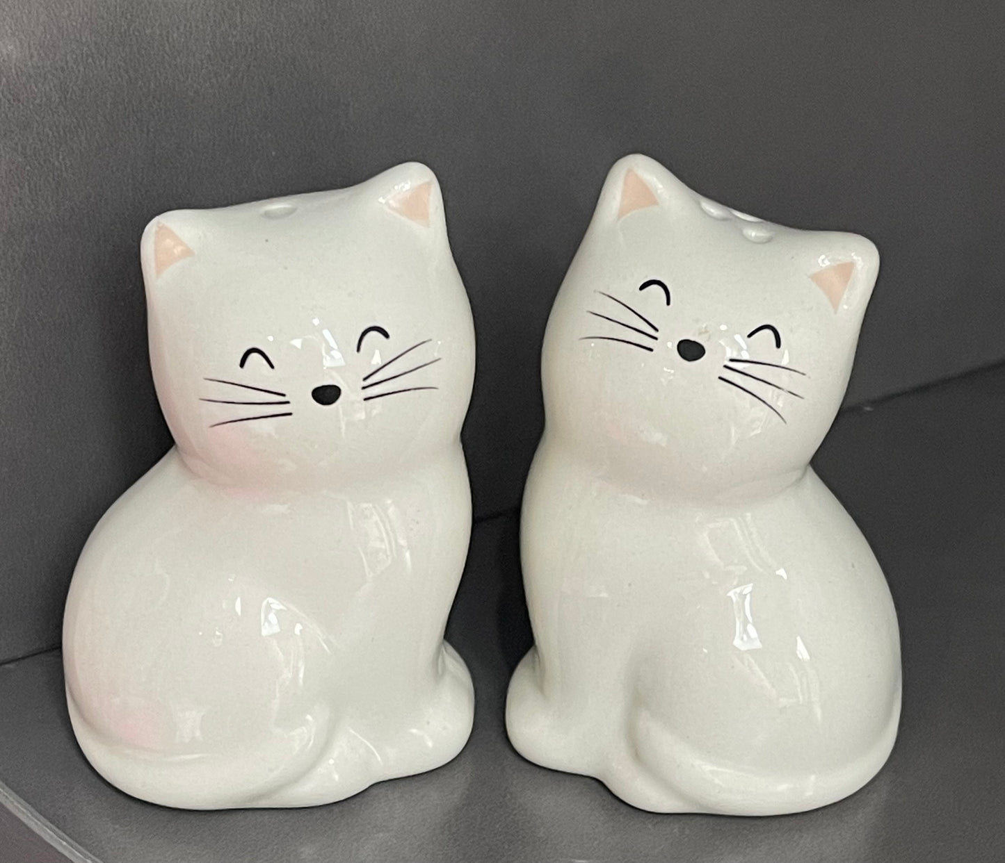 Cat Salt & Pepper Shakers – Cute Ceramic Pots Cat Set for Cat Lovers