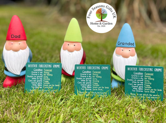 15cm Novelty Weather Forecasting Garden Gnome With Option To Personalise, Funny Garden Gifts