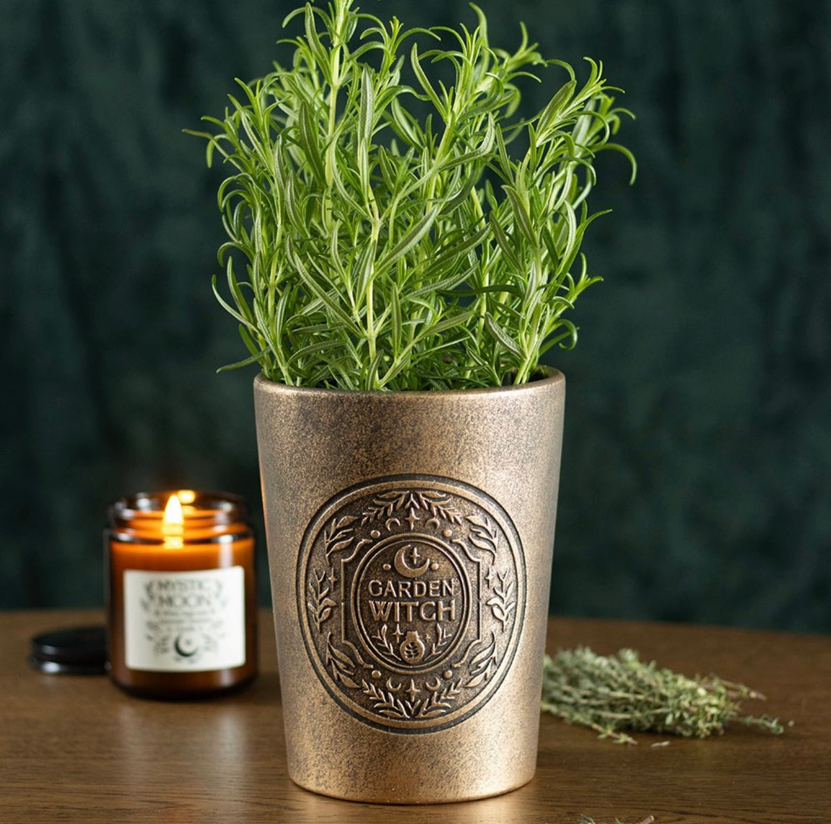 Garden Witch Terracotta Plant Pot – Bronze Effect Botanical Planter