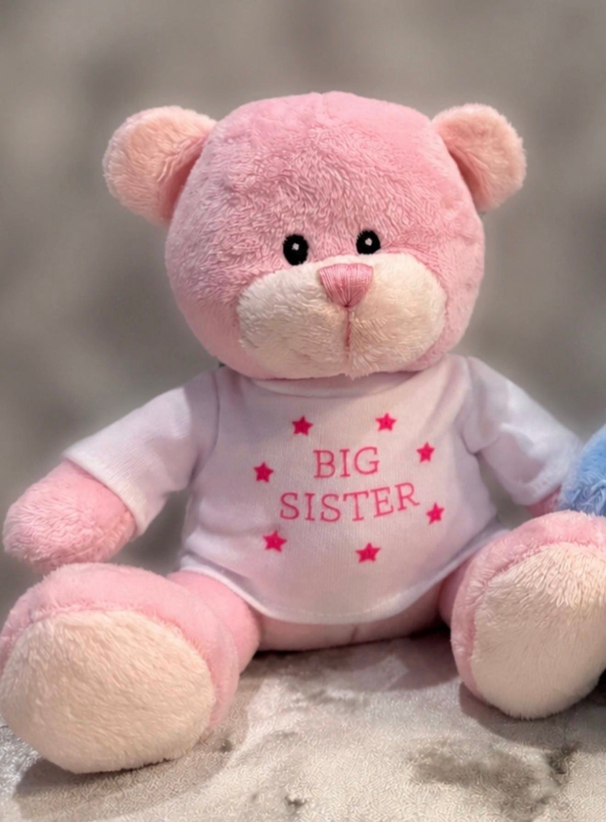 Personalised Big Brother or Big Sister Teddy Bear