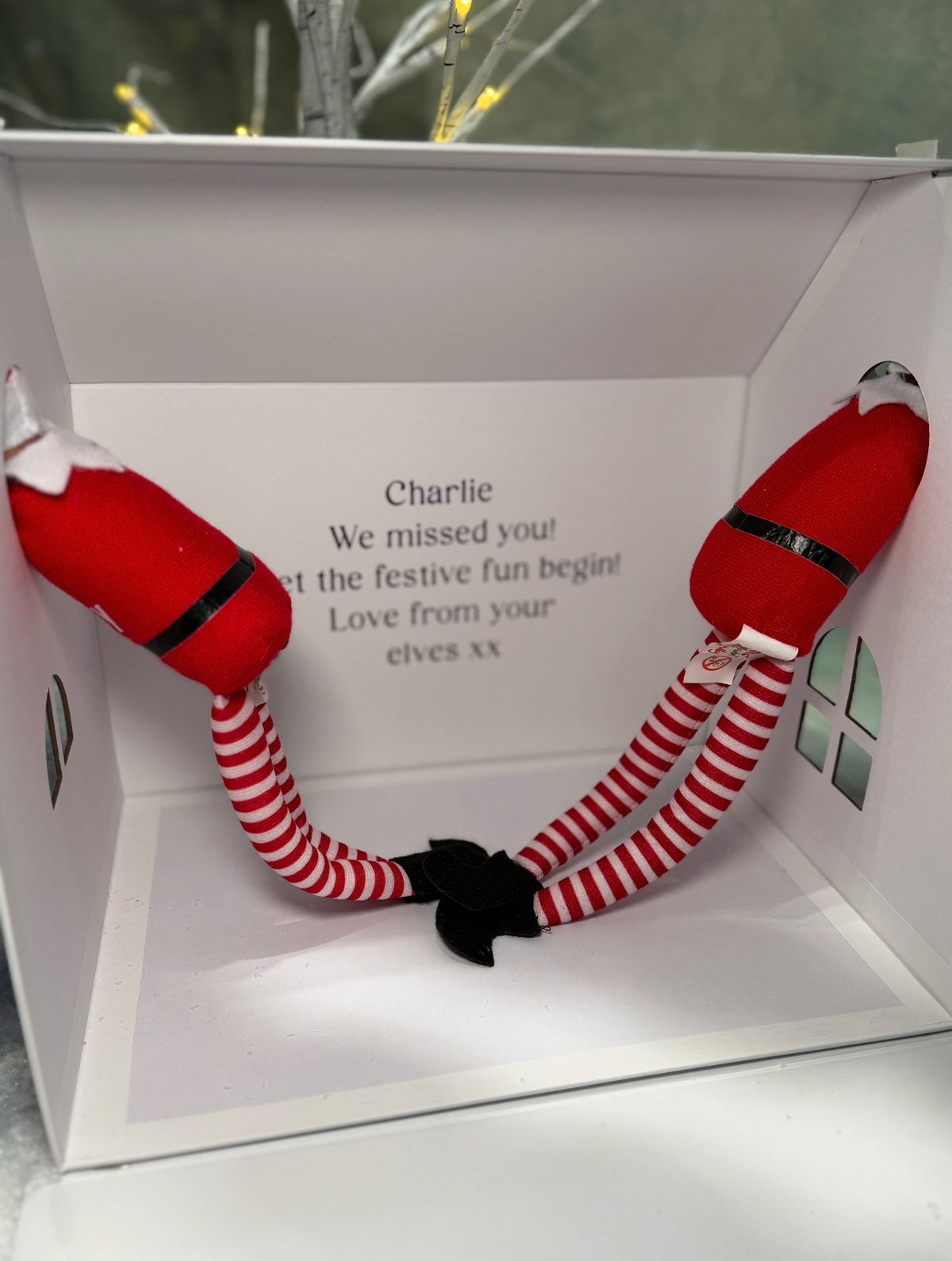 Large Personalised Christmas Elf Gift Box with 1 or 2 Elves