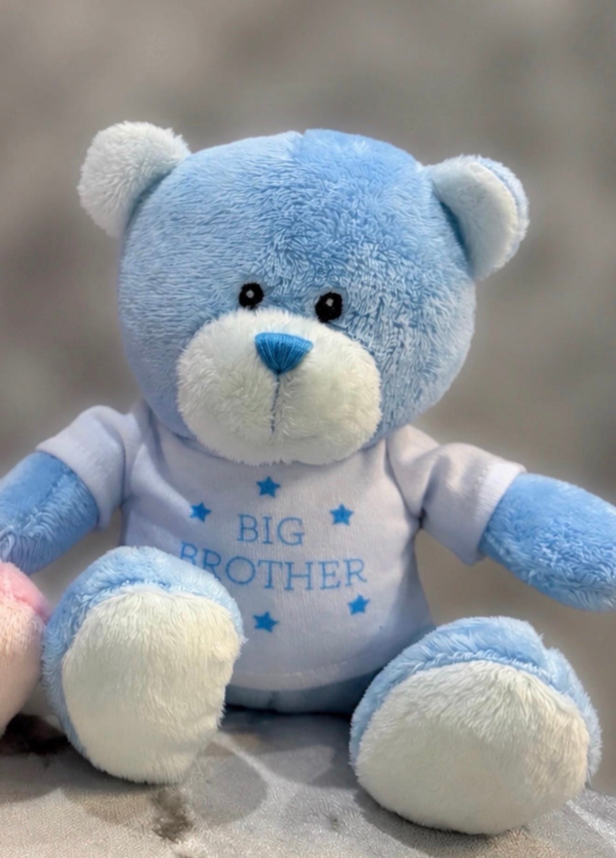 Personalised Big Brother or Big Sister Teddy Bear