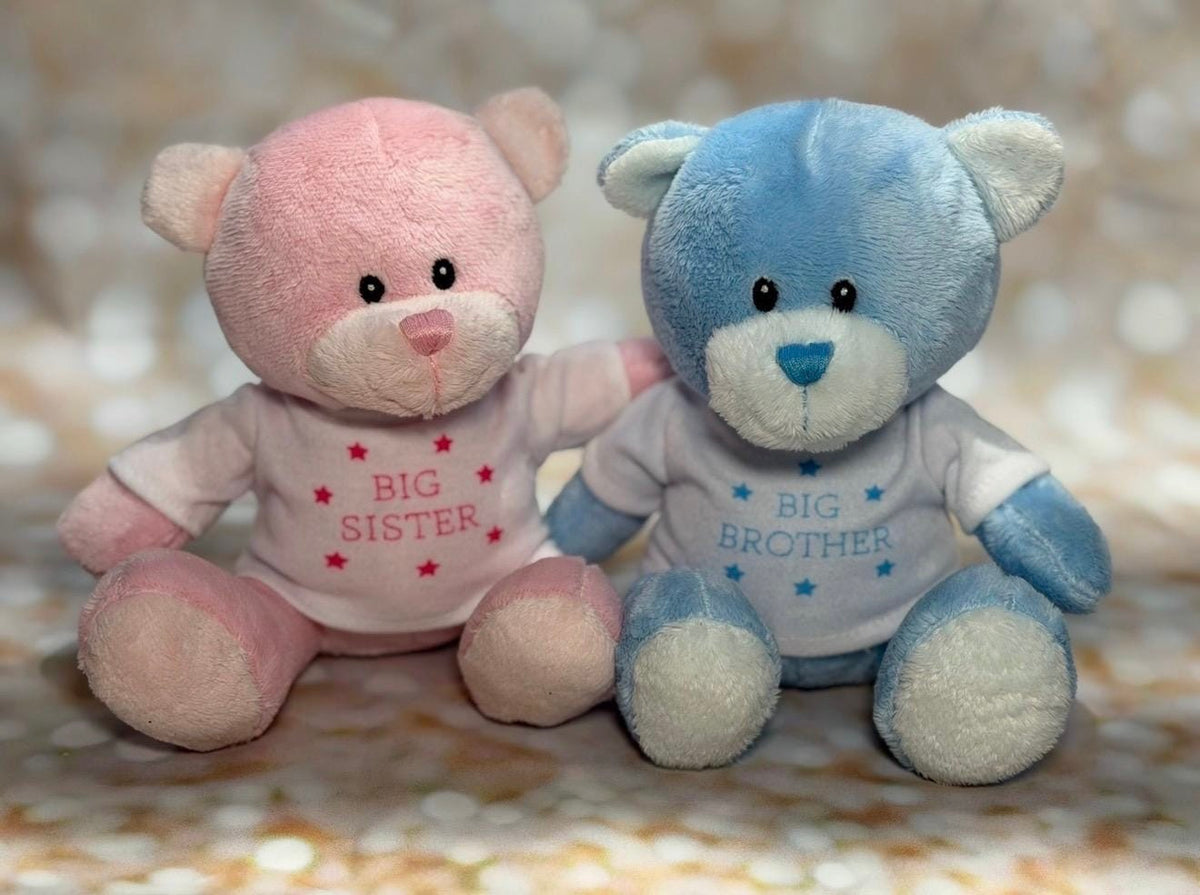 Personalised Big Brother or Big Sister Teddy Bear