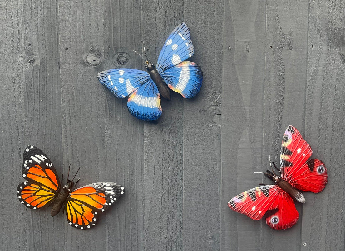 Beautiful Butterfly Garden Wall Art