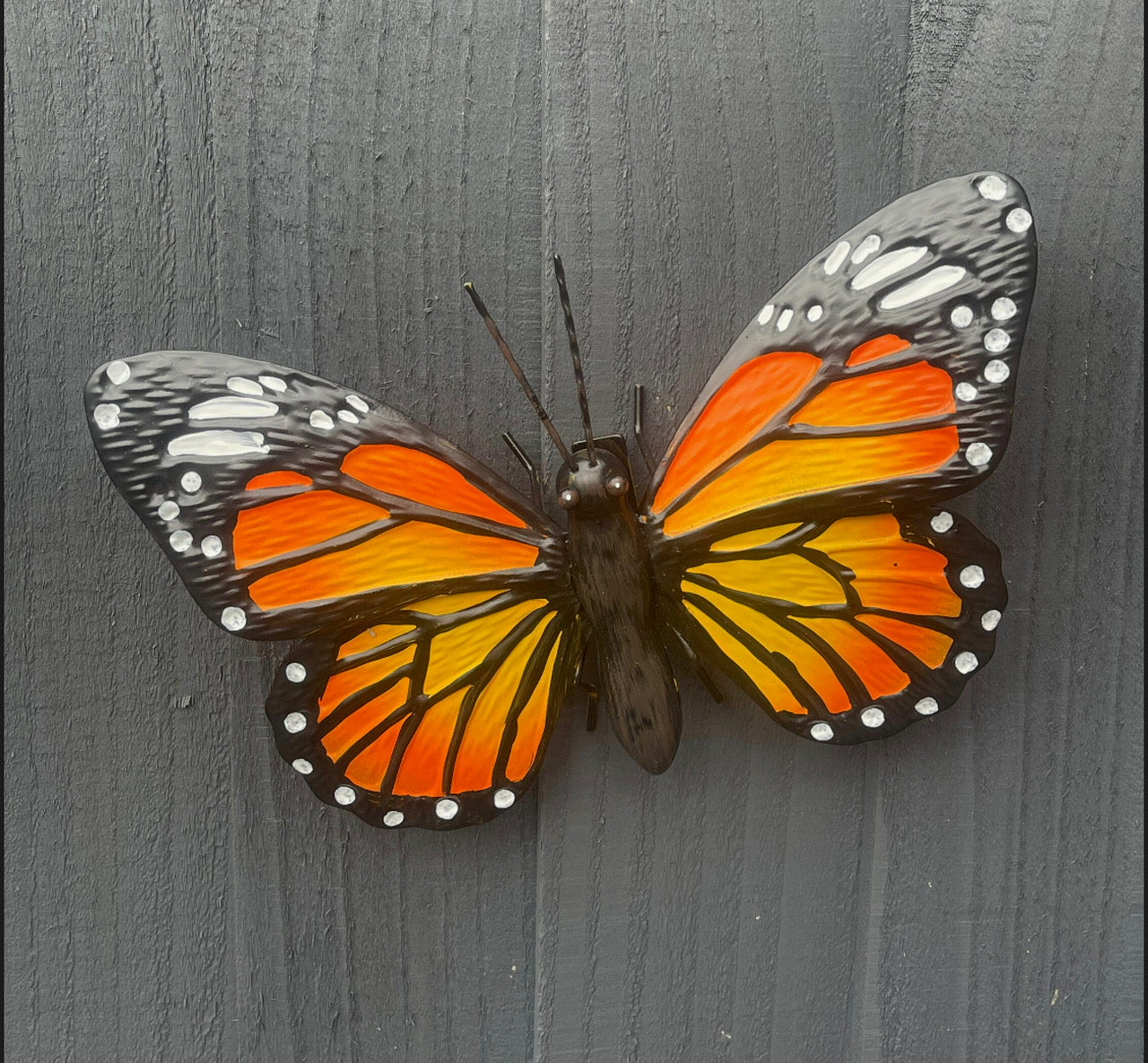 Beautiful Butterfly Garden Wall Art