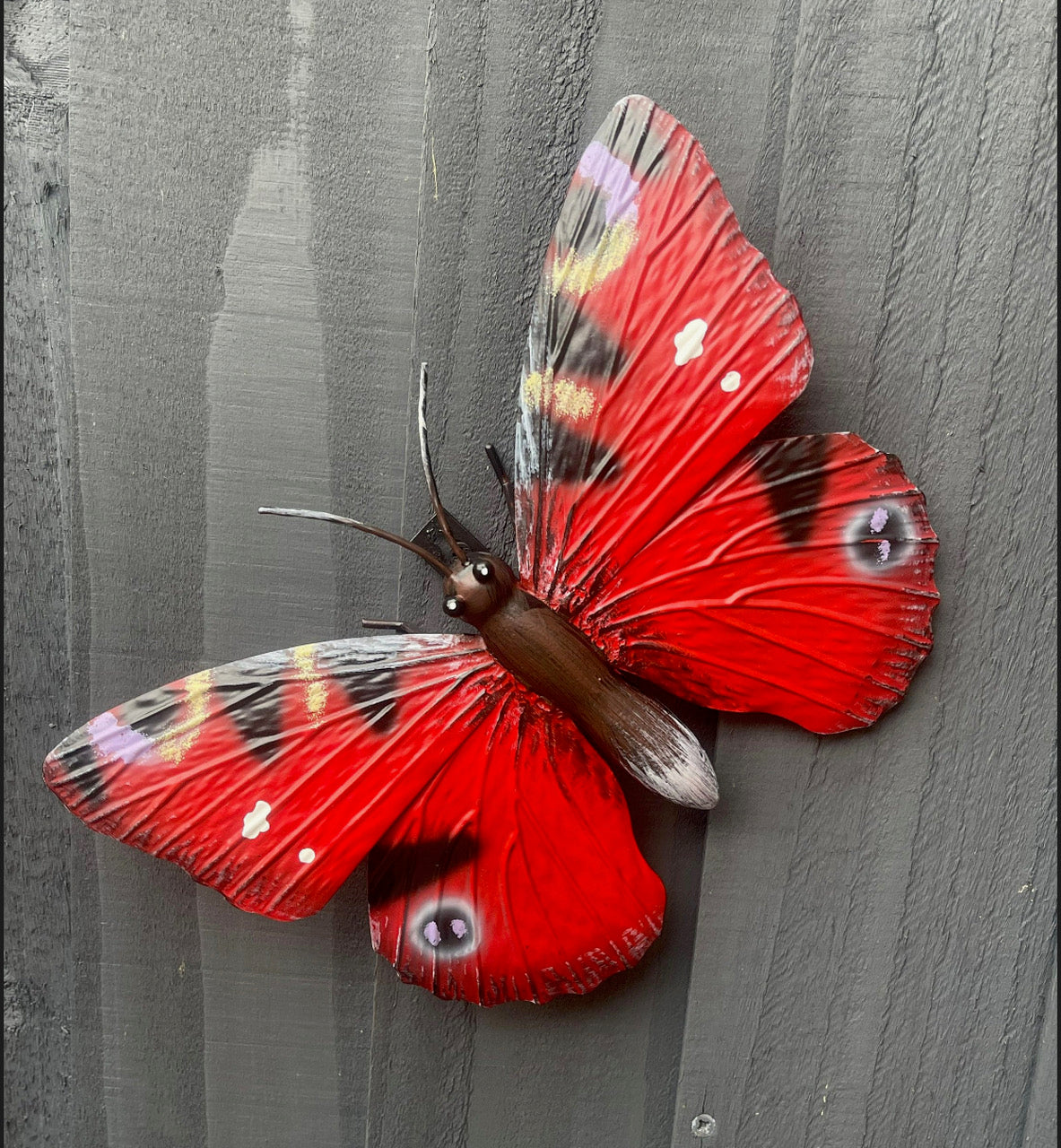 Beautiful Butterfly Garden Wall Art