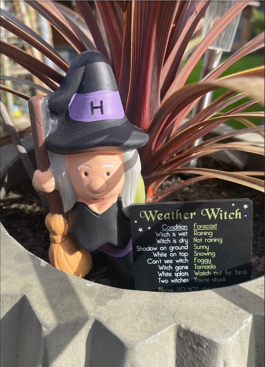 15 cm Novelty Weather Forecasting Garden Gnome Witch or Wizard With Option To Personalise